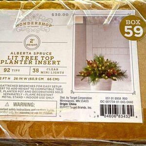 🎄 Alberta Spruce Plant Insert 🧑🎄🤶